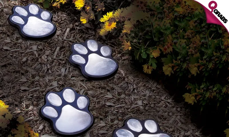 Paw Print Solar LED Light!